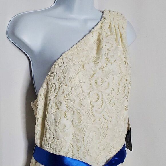 NEW Betsy & Adam One Shoulder Lace Dress 14 Sleeveless A-LIne Cream Ivory - Picture 2 of 6